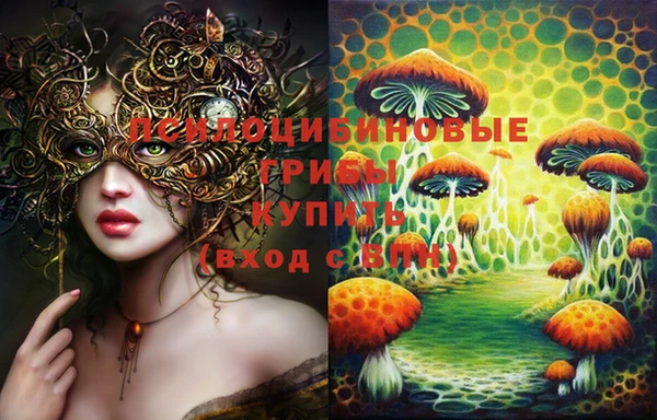 тгк Верхний Тагил